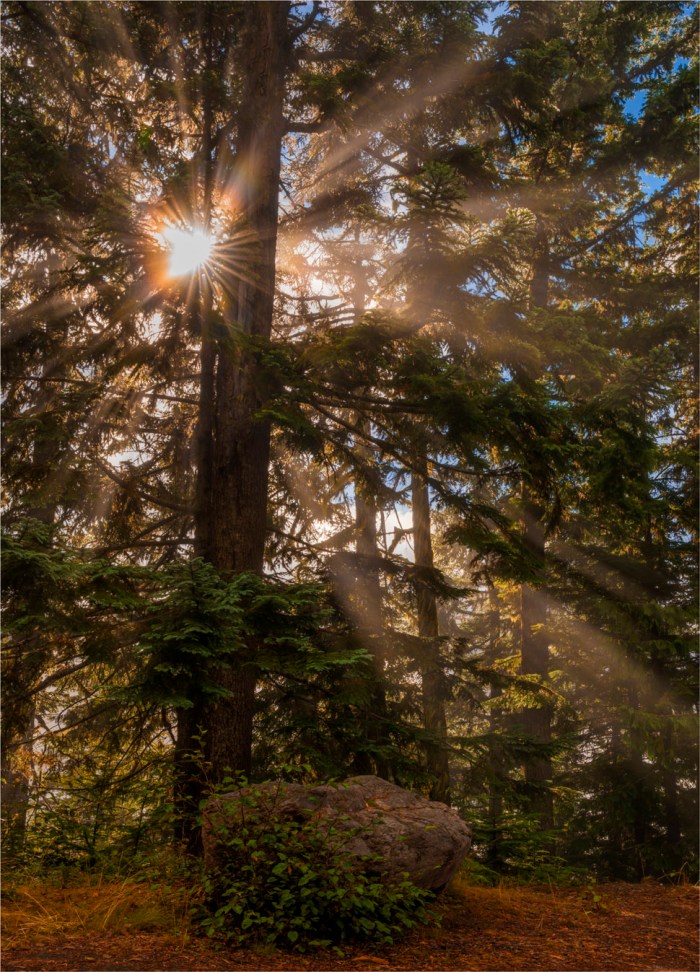 Mt-Rainier-NP-2015-09-US-WASH062-16x20