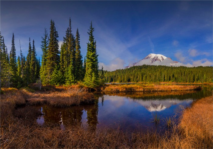 Mt-Rainier-Reflections-USA-WASH0901-14x20