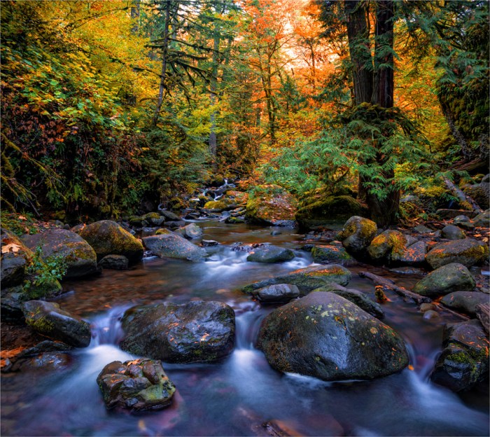 Multinomah-Creek-in Autumn-2015-09-US-ORE0121-25x28