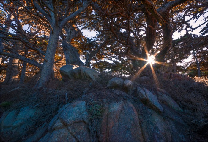 Point-Lobos-Carmel2015-09-US-CAL047-17x25
