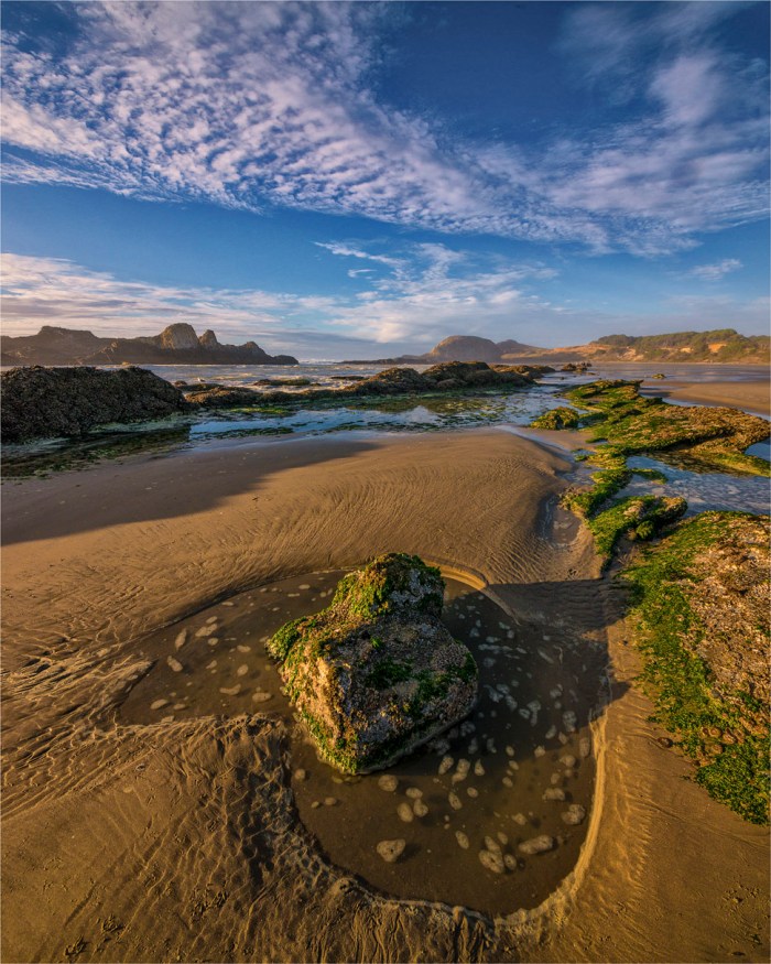 Seal-Rock-Coastline-2015-09-US-ORE162-20x25