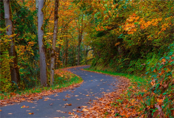 South-Prairie-Creek-2015-09-US-WASH019-17x25