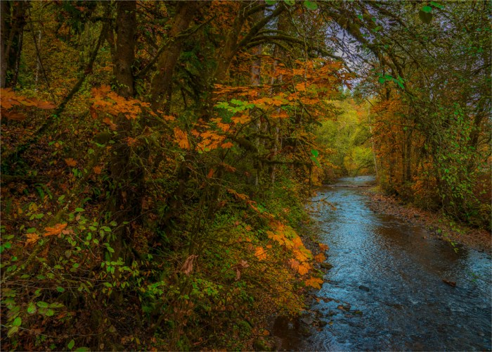 South-Prairie-Creek-2015-09-US-WASH065-20x28