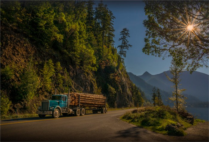 Timber-Truck-Crescent-Lake-2015-US-WASH00121-17x25