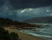 North-East-River-2016-FLS057-20x26