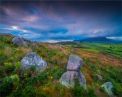 Wireless-Hill-2016-FLS009-20x25