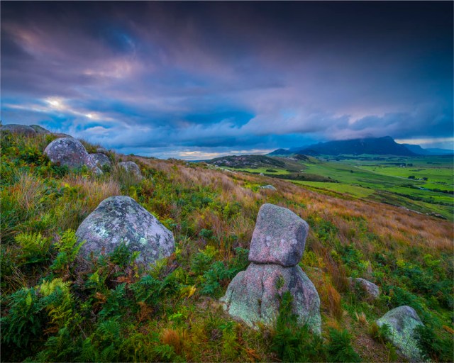 Wireless-Hill-2016-FLS009-20x25