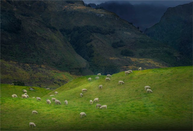 Glenorchy-Autumn-2016-NZ259-17x25