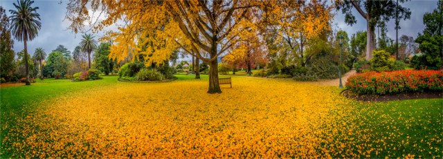 Albury-Botanic-Gardens-VIC-024-18x50