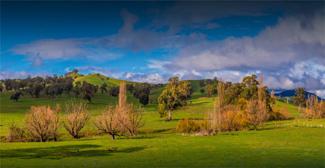 Bonnie-Doon-Countryside-VIC-029-14x27