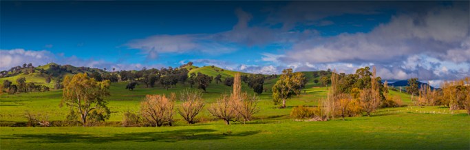 Bonnie-Doon-Countryside-VIC-029-16x50