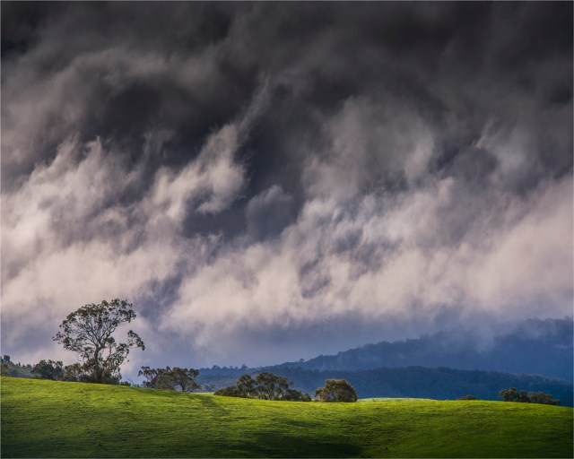 Bonnie-Doon-VIC-044-20x25