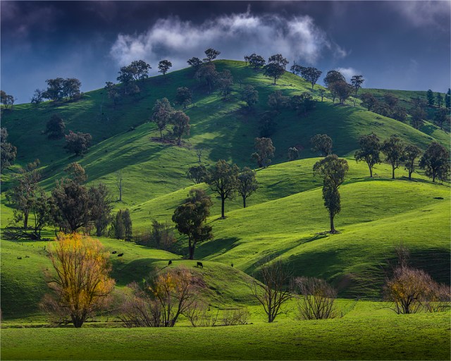Bonnie-Doon-VIC-072-20x25