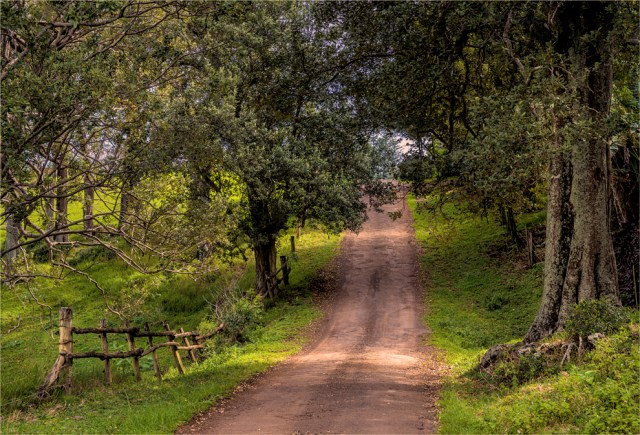 beefsteak-road-2016ni-006-17x25