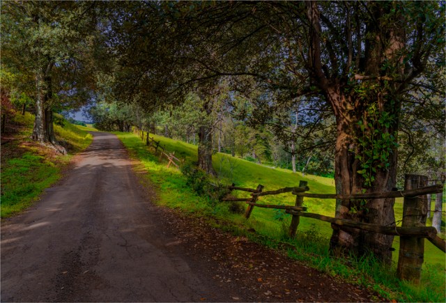 beefsteak-road-2016ni-007-17x25