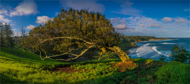 shearwater-2016ni-027-20x45