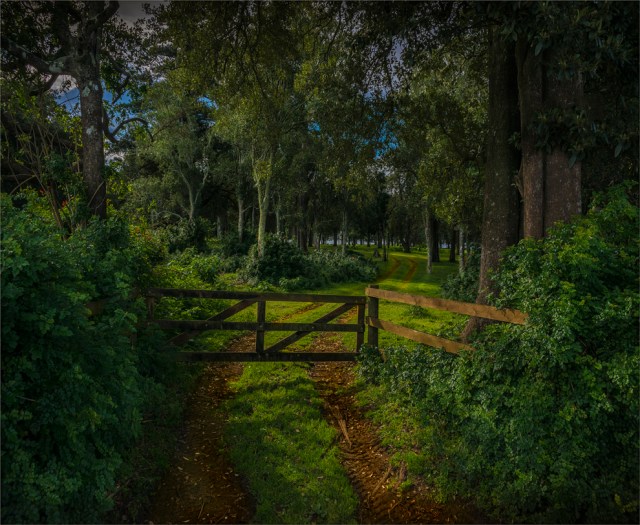 simons-water-2016ni-001-23x28