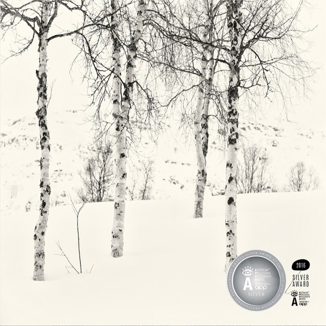 vic2016-rolfei-01-withaward