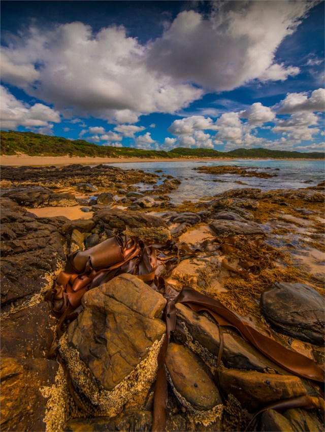 colliers-beach-king-island-tas-2016-072-24x32
