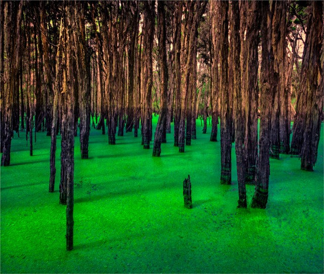 ettricks-king-island-tas-2016-152-22x26