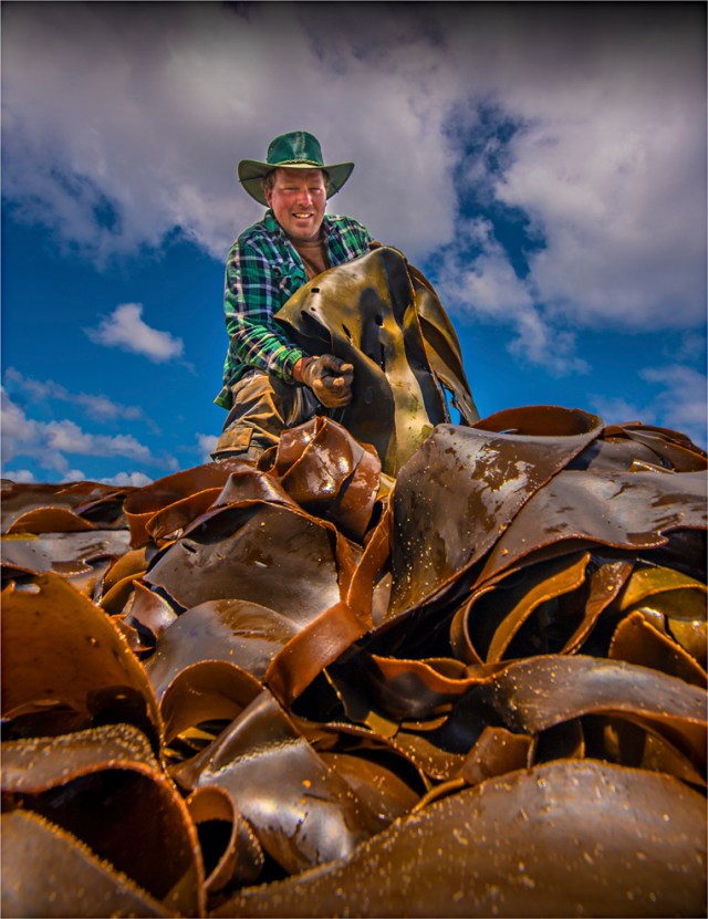 farny-king-island-tas-2016-019-20x26
