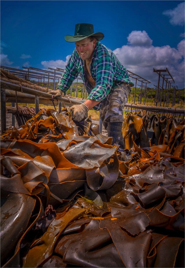 farny-king-island-tas-2016-153