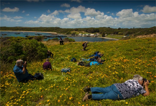 king-island-tas-2016-037-17x25