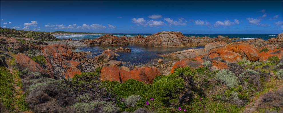 towards-british-admiral-king-island-tas-2016-007-18x45