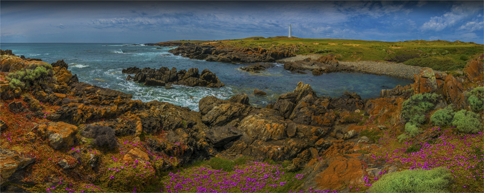 wickham-early-summer-ki05644-2016-18x45