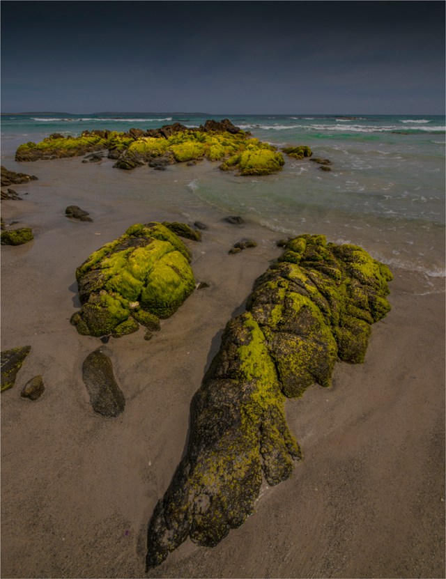 yellow-rcok-king-island-tas-2016-122-20x26