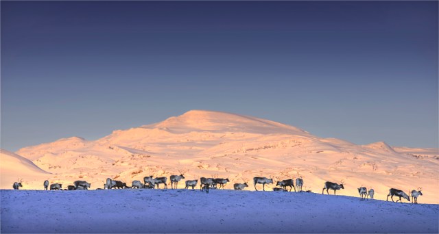 bjorkliden-lapland-2017-swe154-15x28