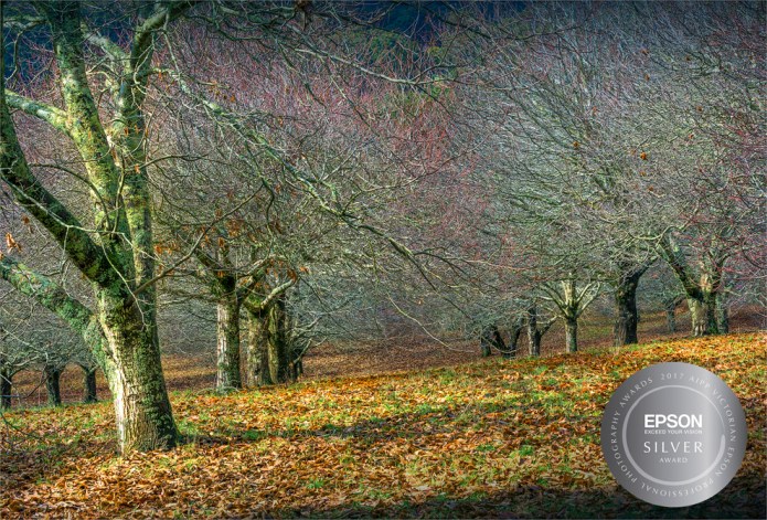 Mount-Macedon-19cmx28cm