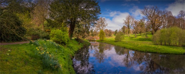 Mintern-Gardens-2017-ENG109-20x50