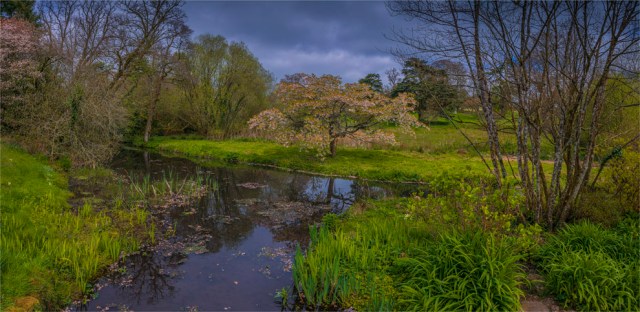Mintern-Gardens-2017-ENG147-22x45