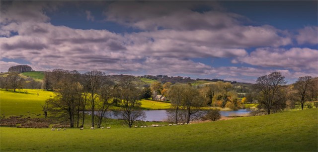 Up-Cerne-ENG-0989-24x50