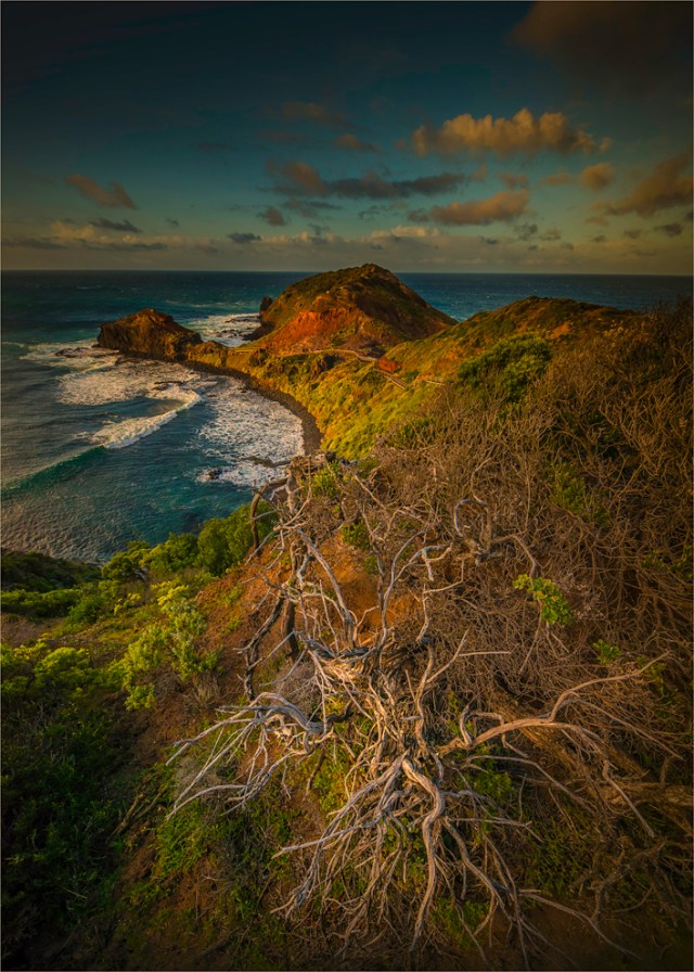 Cape-Schanck-VIC-2017-006