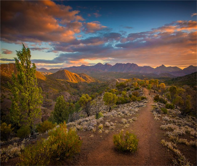 Bunyeroo-Valley-FRNP-2017-SA-1107 copy