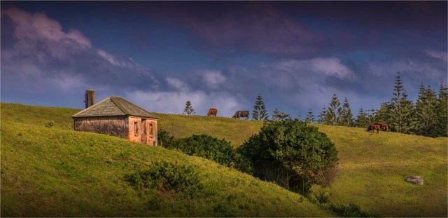 Convict-Hut-2017-Norfolk-Island-105