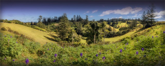 Douglas-Drive-Valley-2017-Norfolk-Island-012-18x45