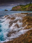 Duncombe-Bay-2017-Norfolk-Island-035