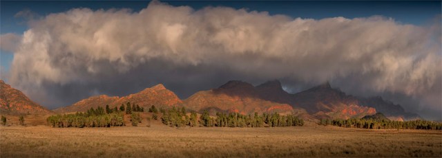 Ikara-Dawn-FRNP0901-18x50 copy