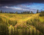 Middlegate-Road-2017-Norfolk-Island-3043