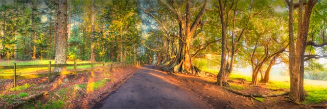 New-Farm-Road-Dawn-2017-Norfolk-Island-807-20x60