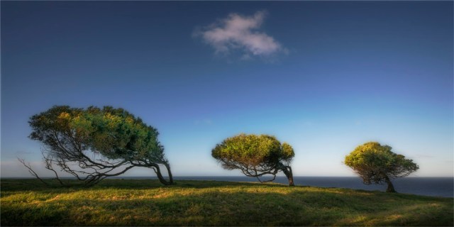 Point-Howe-2017-Norfolk-Island-00543