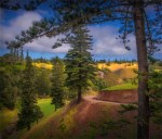 Prince-Phillip-Drive-16092018-NI-GGL004