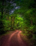 Red-Road-NP-16092018-NI-GGL014