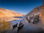 Kagbeni-Goat-Herder-2018-NEPAL-0353