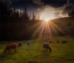 Arthurs-Vale-Light-160919-Norfolk-Island-033