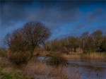Stour-River-Winter-Flood-2020-Feb-Dorset-ENG-0049