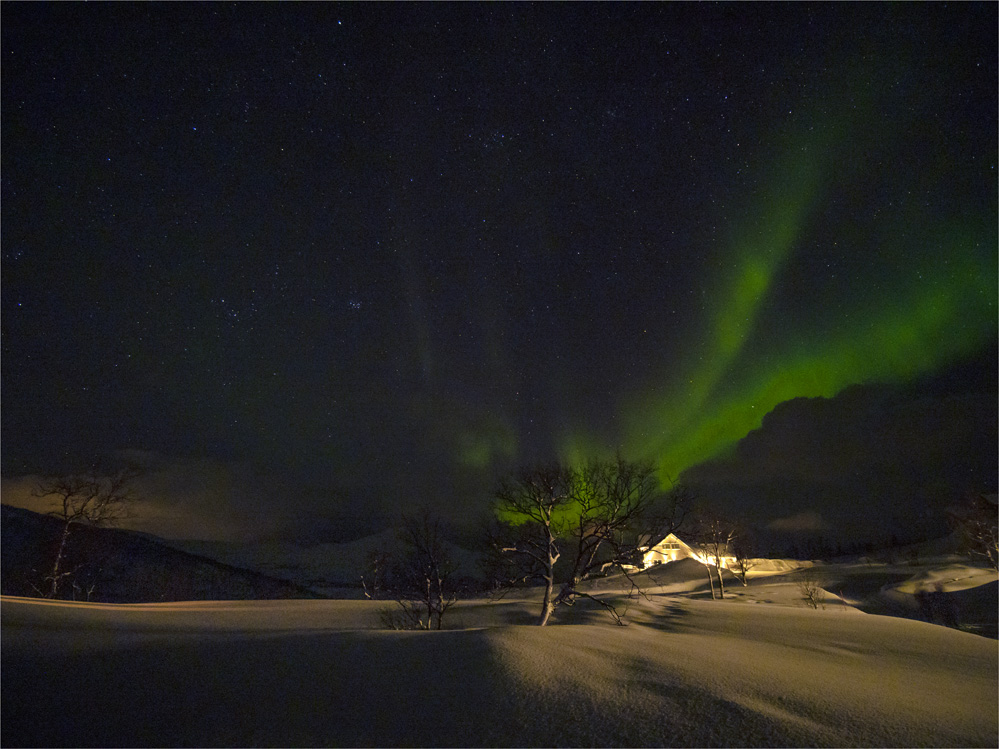 Skogsfjordvatnet-Aurora-2020-Feb-Tromso-NOR-001 copy